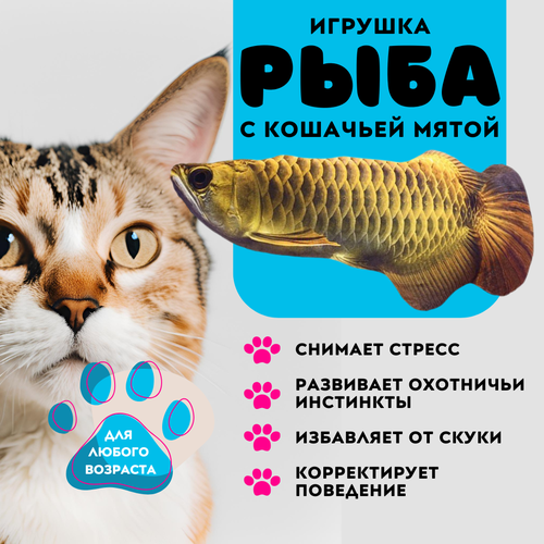 фото Рыбка Аравана ZooWell игрушка мягкая антистресс развлечение для кошек с кошачьей мятой Рыба 20см