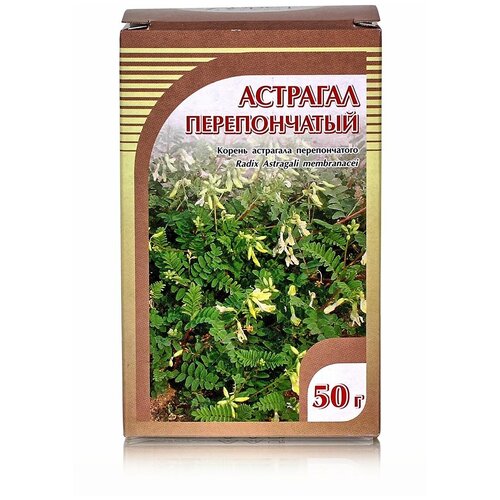 фото Хорст корень Астрагал перепончатый, 50 г