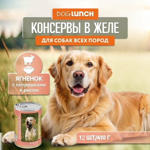 фото Корм влажный DOG LUNCH ягненок с потрошками и рисом в желе для собак (12шт x 410г)