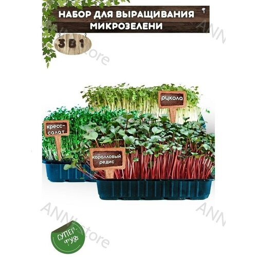 Набор для выращивания микрозелени 3 в 1. Коралловый редис / Руккола / Кресс салат / Микрозелень семена / наборы для проращивания на балконе фото