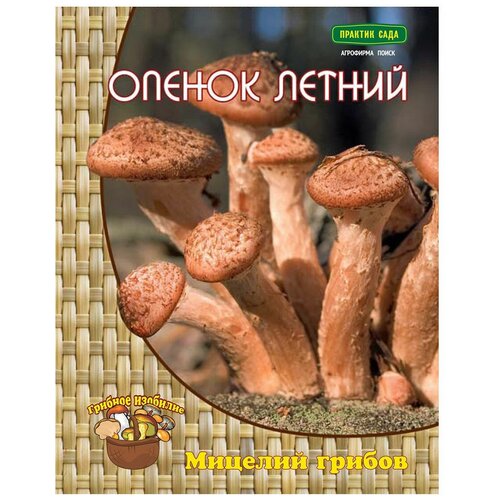 Мицелий грибов ПОИСК Опенок Летний на древесном носителе 12 шт. фото