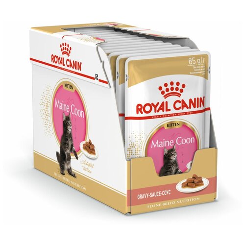 фото Влажный корм для котят Royal Canin Мейн-кун 12 шт. х 85 г (кусочки в соусе)