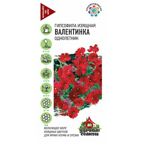 фото Семена Гипсофила изящная Валентинка, 0,1г, Удачные семена, 10 упаковок