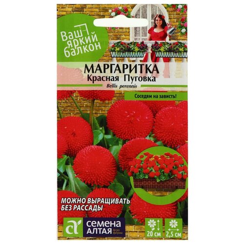 Семена цветов Маргаритка 