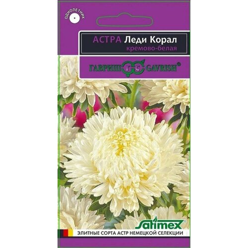 Семена Астра Леди Корал Кремово-белая розовидная 0,05г Одн 70см (Гавриш) Эксклюзив фото