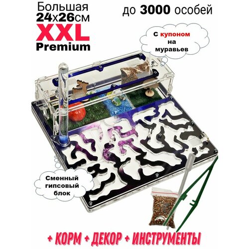 фото Большая муравьиная ферма XXL Premium 24*26см Полный комплект Космос