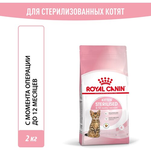 фото Корм для стерилизованных котят Royal Canin Kitten Sterilised (Киттен Стерилайзд) Корм сухой сбалансированный, 2 кг