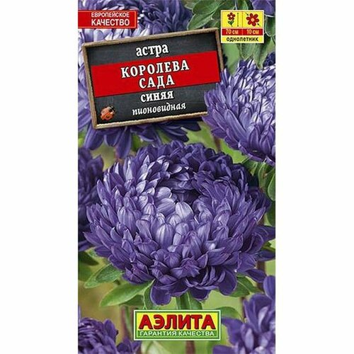 Семена Астра Королева сада синяя (однолетние) (Аэлита) 0,2г фото