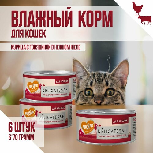 фото Влажный дополнительный корм Мнямс для кошек, Курица с говядиной в нежном желе, 70г х 6шт