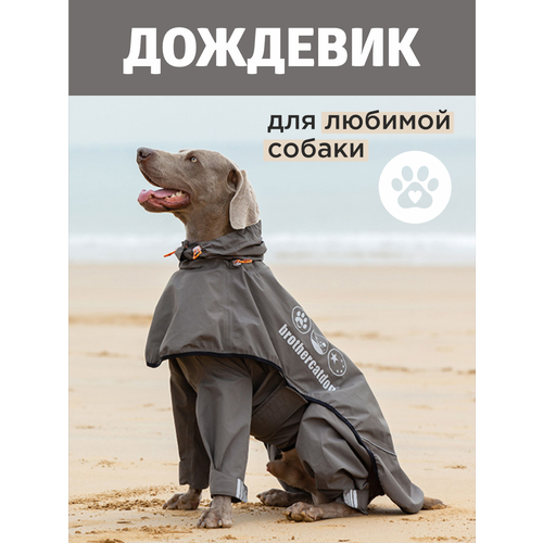 фото Дождевики для собак- полукомбинезон и накидка от бренда Brothers Cat&Dog