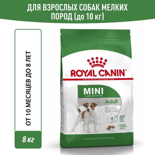 фото Сухой корм для собак Royal Canin Mini Adult для собак мелких пород, 8 кг