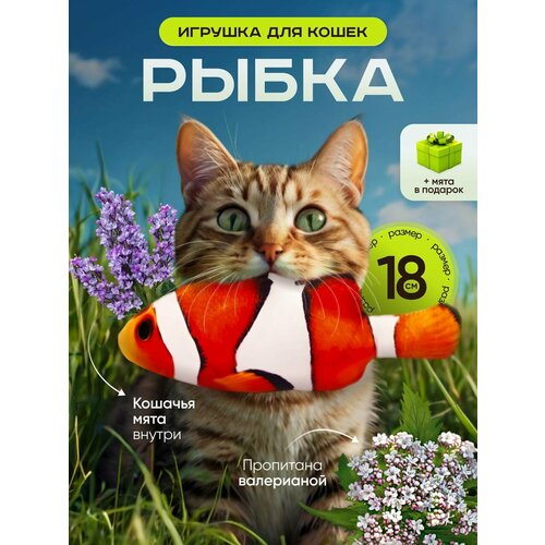 фото Игрушка для кошек 