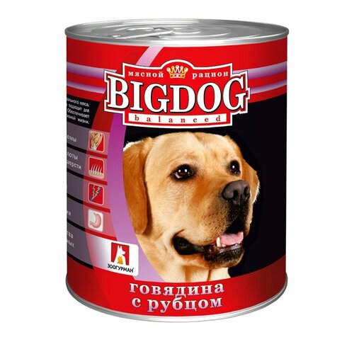 фото Влажный корм для собак Зоогурман Big Dog, говядина, рубец 1 уп. х 1 шт. х 850 г (для средних и крупных пород)