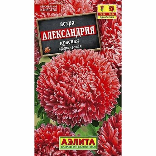 Семена Астра Александрия красная, однолетник, (Аэлита) 0,1г фото