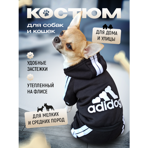 фото Комбинезон Adidog для собак и кошек, демисезонный, размер XS, черный, унисекс, с капюшоном