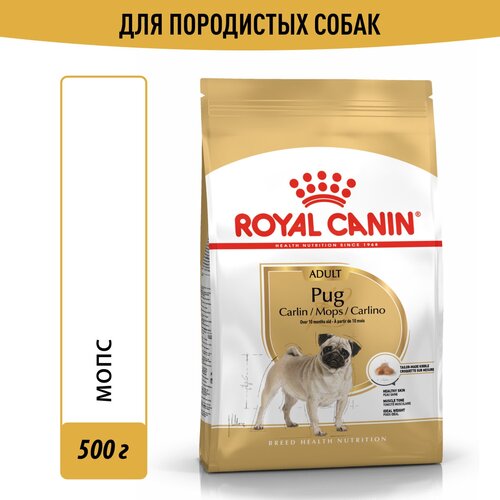 фото Сухой корм для собак Royal Canin породы Мопс 1 уп. х 1 шт. х 500 г (для мелких пород)