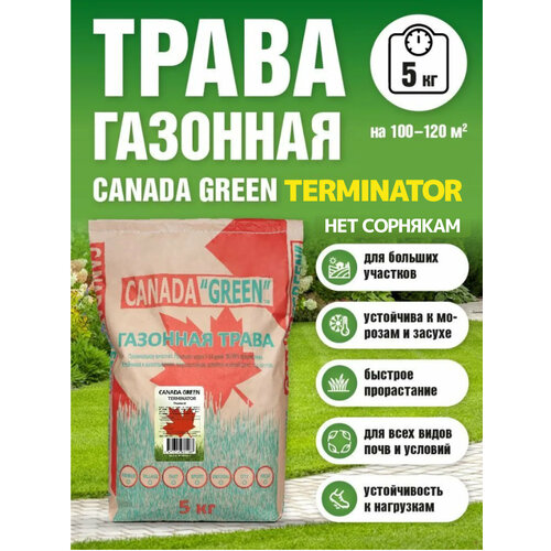 фото Газонная трава семена Канада Грин Нет сорнякам 5кг / Canada Green Terminator 5кг