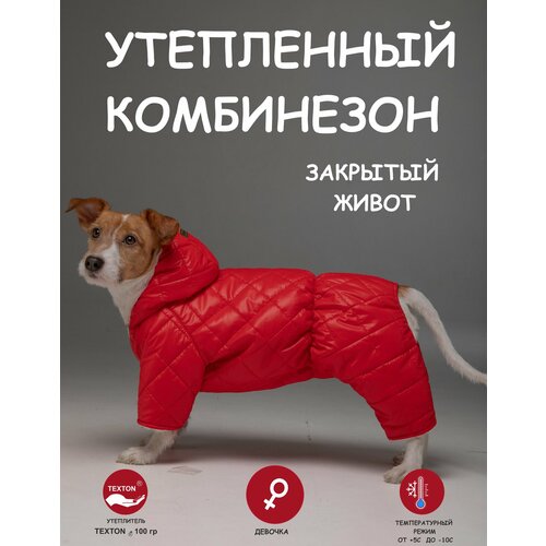 фото Комбинезон для собак DOGMODA стеганный девочка спина 32 см