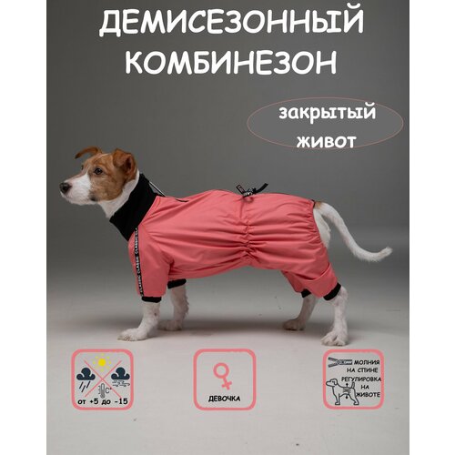 фото Комбинезон для собак DOGMODA Классик девочка коралл размер 3, заказать за 1700 рублей