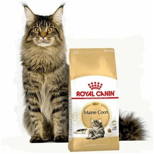 фото Корм Royal Canin MAINE COON Специальное питание для кошек породы мейнкун, а также для кошек крупных размеров: сибирской, норвежской лесной и других, в возрасте от 15 месяцев и старше, 2кг