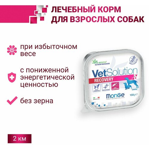 фото Ветеринарная диета Monge VetSolution Dog Recovery влажный корм Рекавери для собак при восстановлении питания в период выздоровления 150 г, 12 шт.