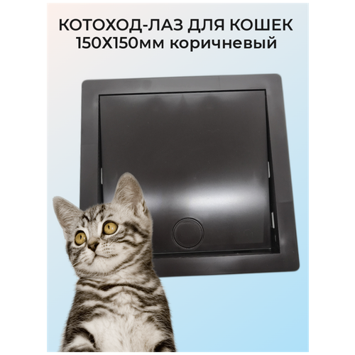 фото Котоход-лаз для кошек (150х150мм) коричневый