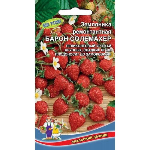 Земляника ремонт. Барон солемахер 0,05 грамм, Уральский дачник фото