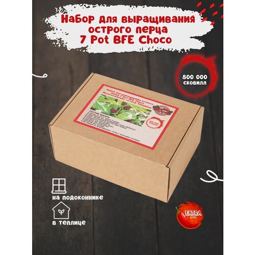 Набор для выращивания острого перца 7 Пот БФЕ Шоколад в домашних условиях, мини парник для рассады фото