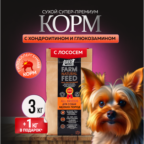 фото Сухой корм для собак мелких пород Buddy Dinner Orange Line Hypoallergenic с лососем 3 кг + 1 кг в подарок