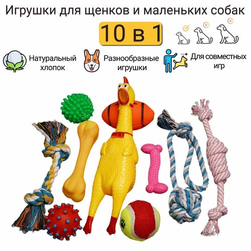 фото Игрушки для щенков и маленьких собак