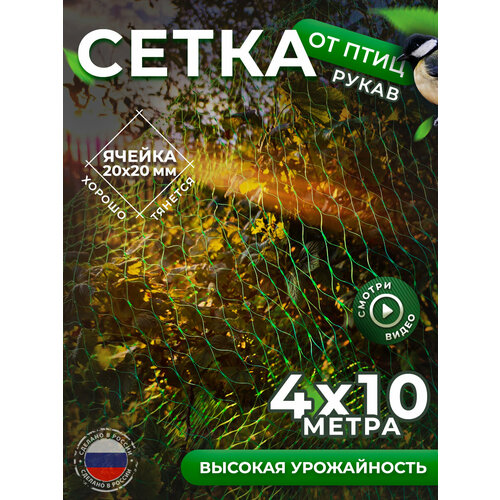 фото Садовая сетка от птиц для защиты 4*10м