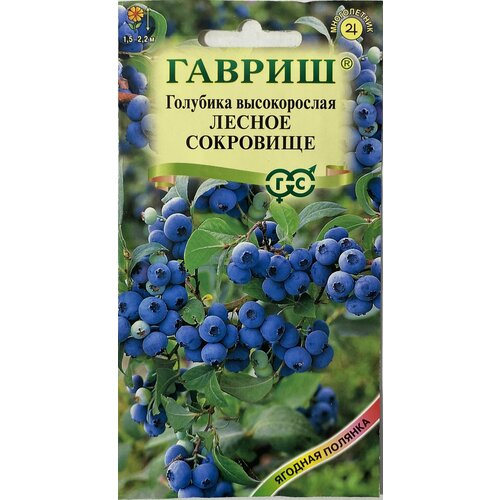 Семена Гавриш Голубика высокорослая Лесное сокровище 30 шт. фото