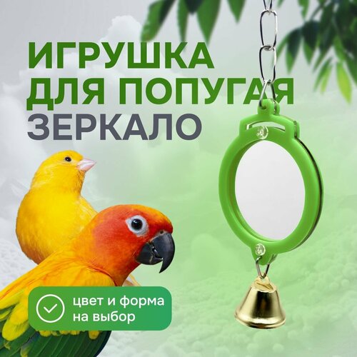 фото Игрушка для попугаев и птиц - зеркало