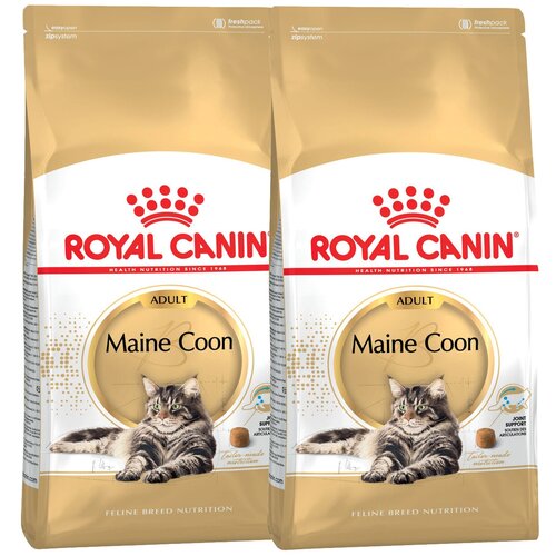 фото Сухой корм для кошек Royal Canin Maine Coon Adult Корм для взрослых кошек породы Мэйн Кун  от 15 месяцев до 12 лет 2 шт. х 2000 г (кусочки в соусе)