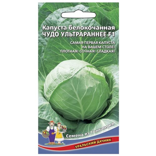 Семена Уральский дачник из Голландии Капуста белокочанная Чудо ультрараннее F1 0.3 г фото