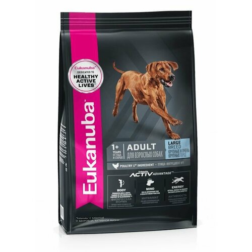 фото EUKANUBA ADULT LARGE BREED 3 кг сухой корм для взрослых собак крупных пород 5шт