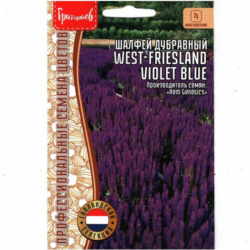 фото Шалфей Дубравный West-Friesland violet blue, многолетник ( 1 уп: 20 семян ), заказать за 325 рублей