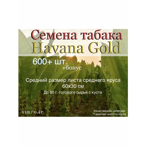 Семена табака Havana Gold фото