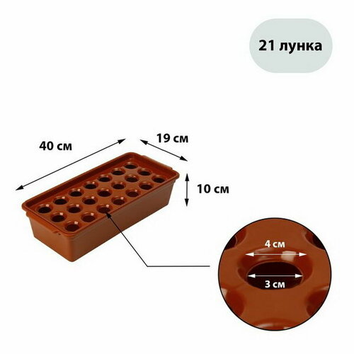 фото Ящик для выращивания зелёного лука, 40 x 19 x 10 см, 21 лунка, пластик, красный