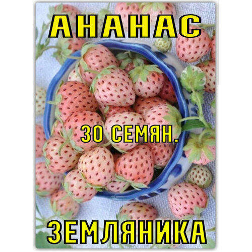 Земляника Ананас 30 семян фото