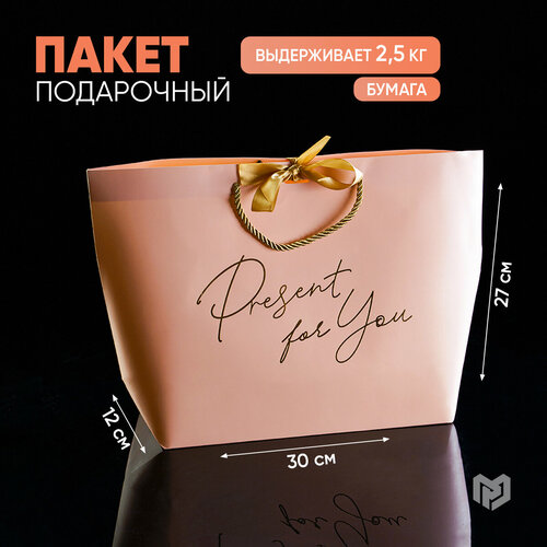 фото Пакет подарочный ламинированный с бантом «Present for you», 30 х 27 х 12 см