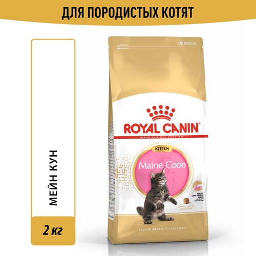 фото Сухой корм Royal Canin Maine Coon Kitten (Майн Кун Киттен) для котят породы Мэйн Кун от 4 до 15 месяцев, 2 кг