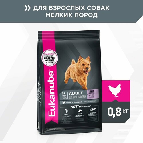 фото EUKANUBA ADULT SMALL BREED 800 гр сухой корм для взрослых собак мелких пород 3шт