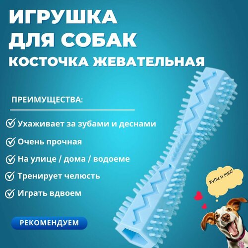 фото Игрушка для собак жевательная, косточка массажная