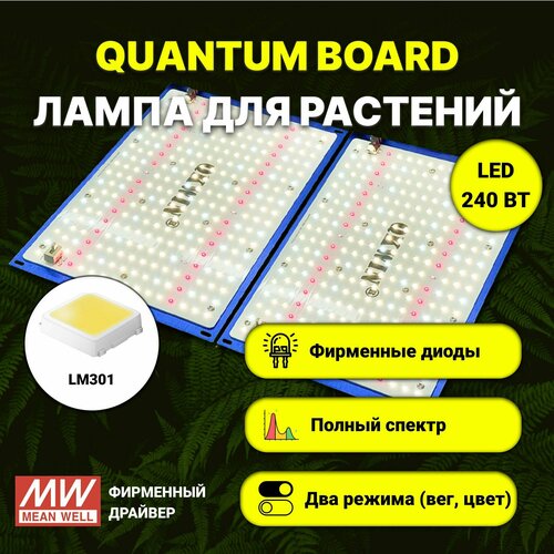 фото Светильник для растений/ quantum board c диодами LM-301, фитолампа 240 ватт, Mean Well, 5000К, квантум борд