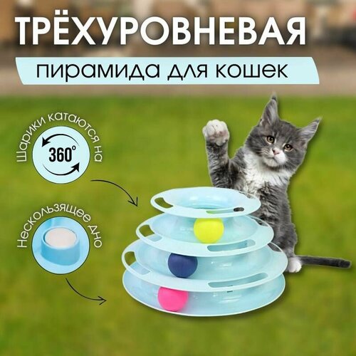 фото Игрушка для кошек Интерактивная башня пирамида трек с шариками, голубая