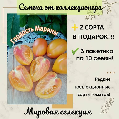 фото Томат Гордость Марины, мировая селекция, коллекционный сорт