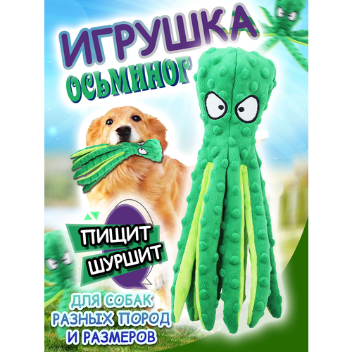 фото Игрушки для собак 