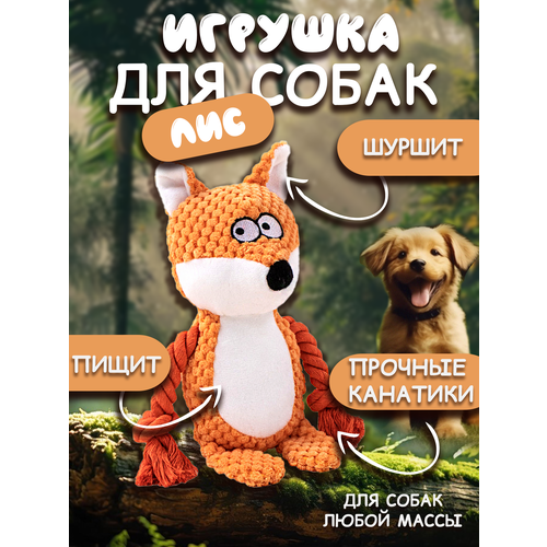 фото Игрушка для собак 