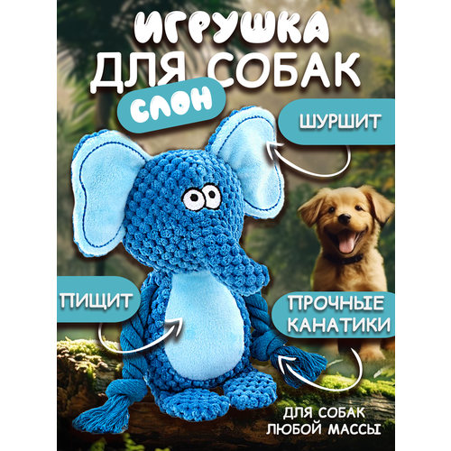 фото Игрушка для собак 